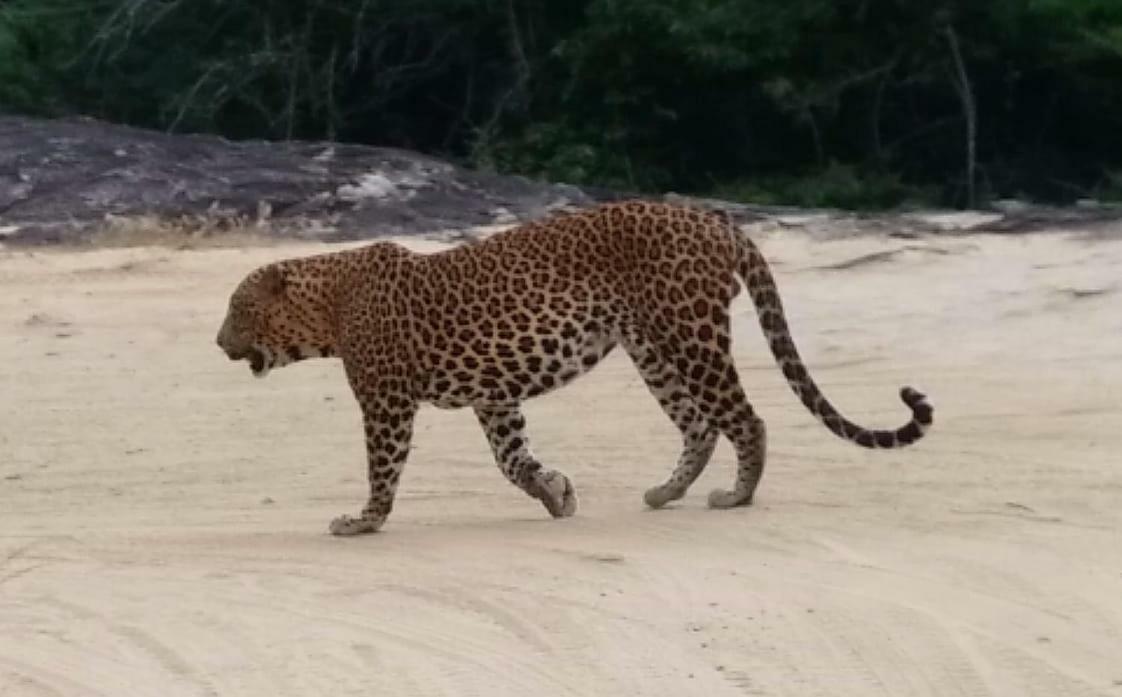 Amawin Resort Hambantota Kültér fotó
