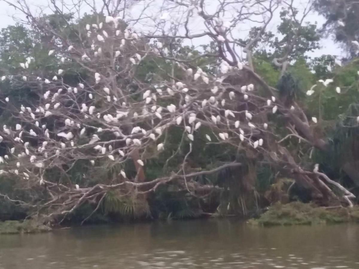 Amawin Resort Hambantota Kültér fotó